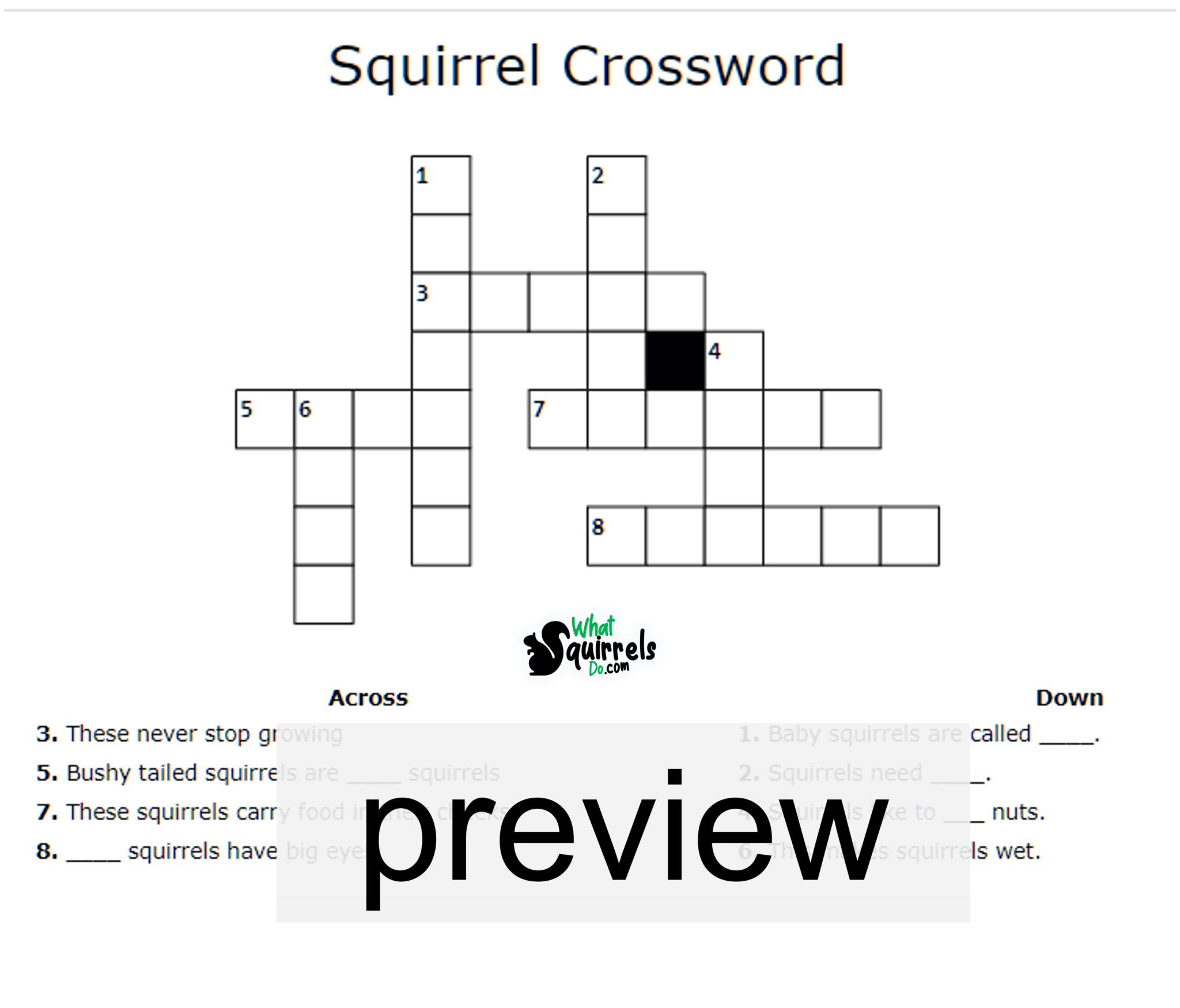 Squirrel Activity Pack: (Free PDF Download) Crossword Maze Counting