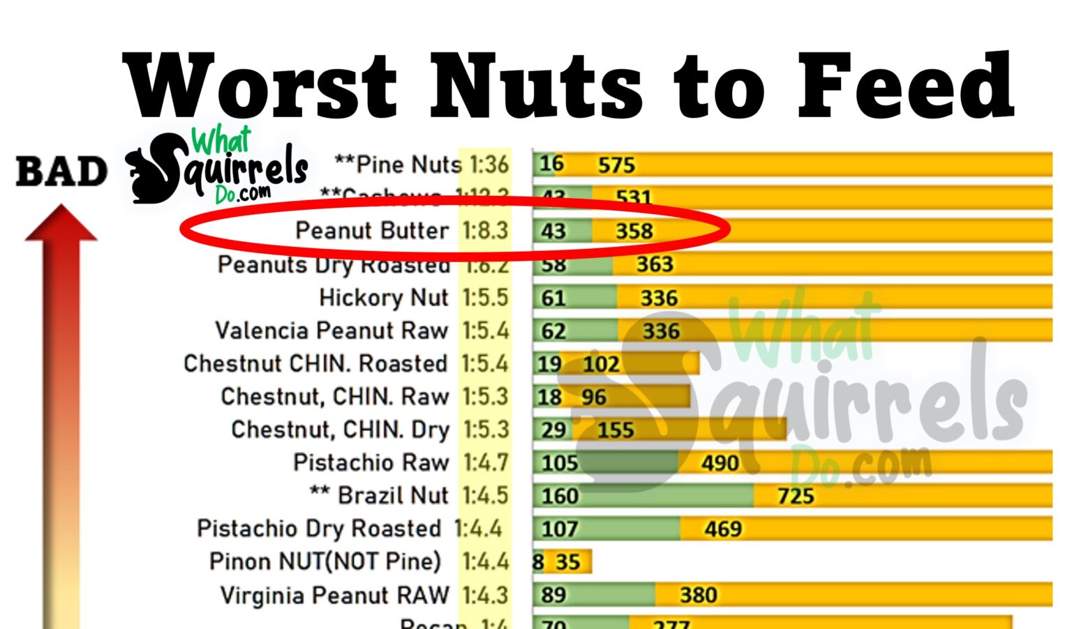 Can Squirrels Have Peanut Butter? Is Their Love of PB Good, Bad or Deadly? 3 Alternatives What