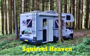 keep squirrels out of RV's