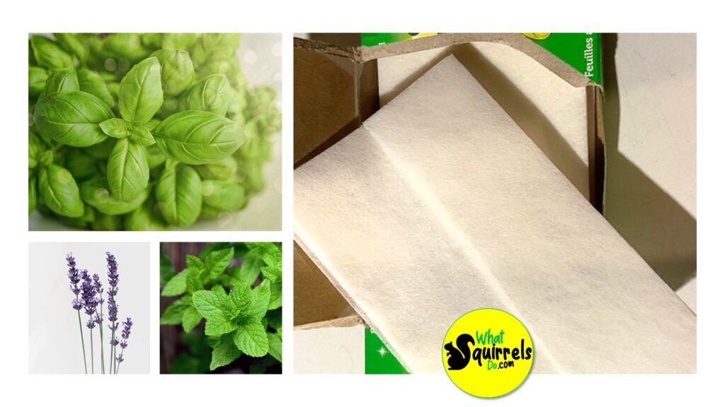use dryer sheets scented with lavender or mint or basil