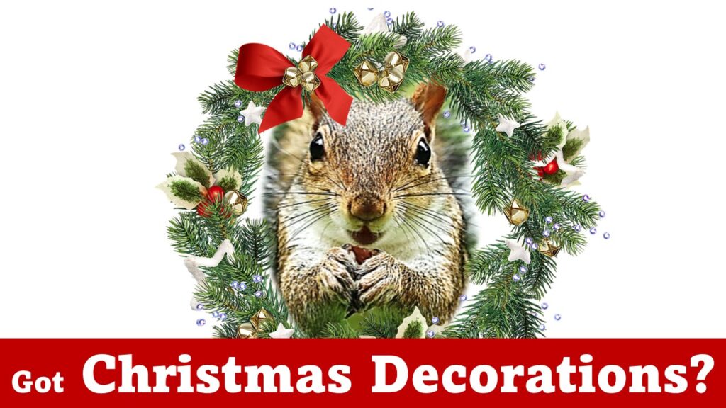 image of squirrel taking wreath decoration